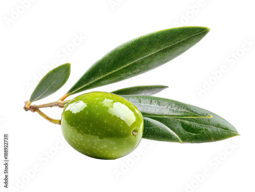 Wallpaper Mural olive isolated on a transparent  Torontodigital.ca