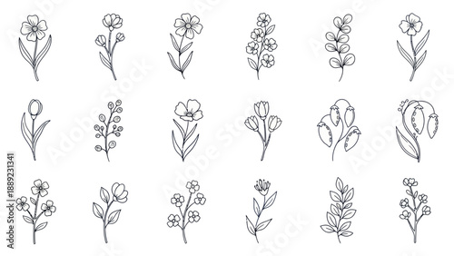 Hand-Drawn Floral Elements Collection: Botanical Line Art Illustrations