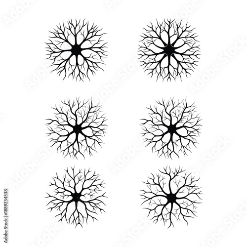Neuron svg