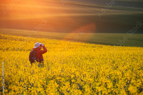 Foto Gorgeous rural landscape with green sunny spring hills