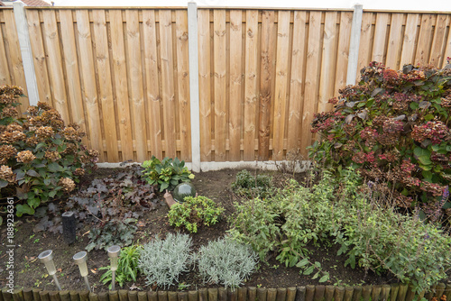 Backyard Garden Bed with Plants and Wooden Fence in Autumn