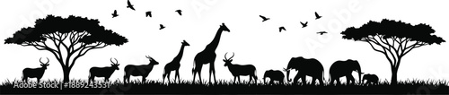 Black silhouettes of various African animals and trees on white background  wildlife scene