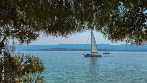 A sailboat and a small boat against the background of the sea and trees