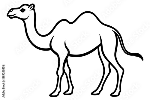 camel line art victor art white background