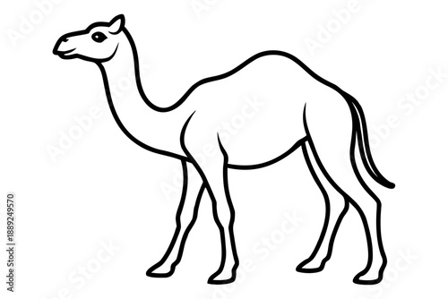 camel line art victor art white background