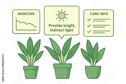 Guide for plant care with focus on moisture, light needs, and key care tips for thriving indoor plants