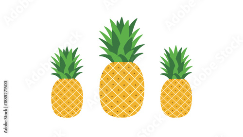 Set of three pineapple fruit illustrations in a simple, flat cartoon style, isolated on a clean white background.