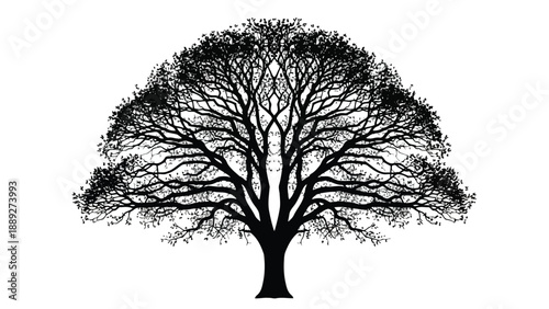 Symmetrical black tree silhouette with dense foliage against a stark white background