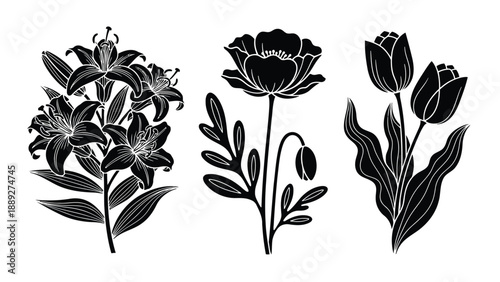 Elegant botanical illustration featuring lilies tulips and foliage in a monochrome style