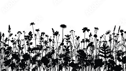 A striking black and white silhouette of various wildflowers and grasses against a plain background