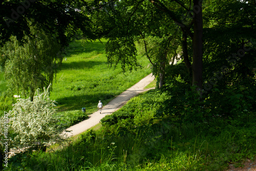 Søllerød Lake -  Søllerød Sø in Rudersdal Municipality Denmark