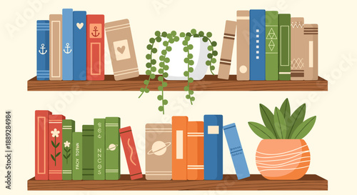 Cozy Bookshelves Illustration