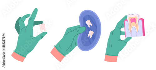 Dentist holding dental tools. Stomatologist hands in rubber gloves holding dental equipment flat vector illustration set. Cartoon dentist tools in doctors hands