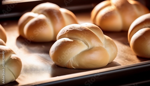 Yeast Bread Bun On Baking Sheet Resting Raw Dough Knots Multiple Yeast Breads In Rows Waiting To Be Baked Traditional Swiss Bread Recipe Called Zopf Or Butterzopf Or Challah Selective Focus