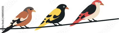 Vector illustration of colorful birds hand drawn style vector artwork for nature and wildlife