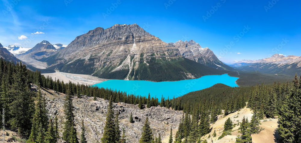Obraz premium Wonderful aerial view of Peyto Lake in summer season under blue sky