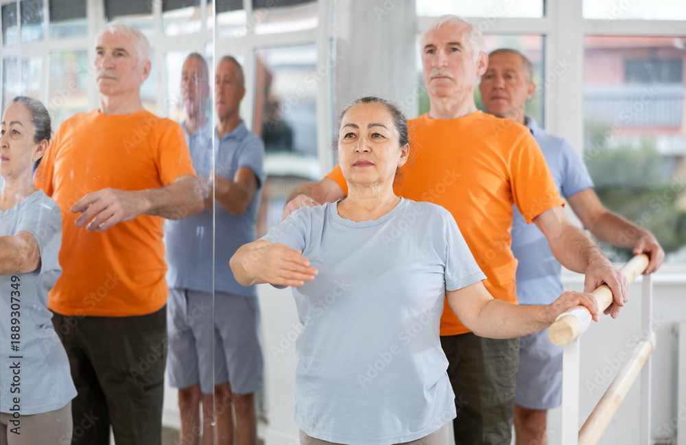 Obraz premium Diligent senior woman training basic positions using arms during ballet classes for elderly people in dance studio