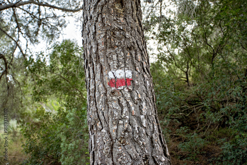 Fotografía GR (sendero de Gran recorrido) long-distance trail markings and signage in Sierra Calderona, Valencia, Spain
