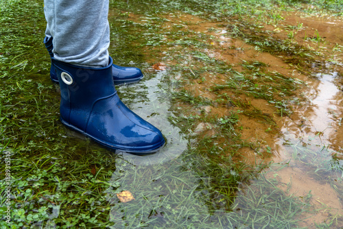 Flooding of garden plots after heavy rains.The death of crops in the fields.Flooded crops.A man in boots is standing in a big puddle on the road.