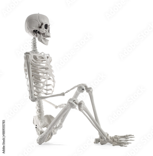 Scary human skeleton sittin...