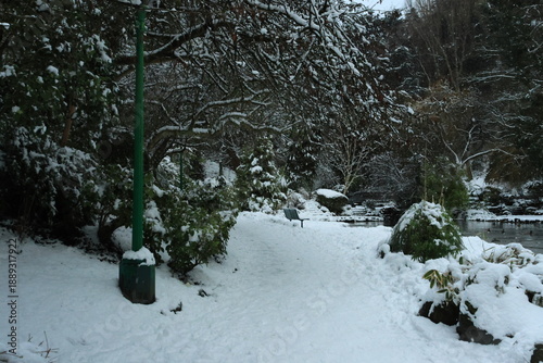 snow covered path with trees overhanging .