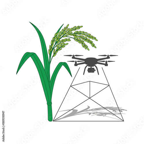 Smart Farming Drone Monitoring Rice Plant Illustration. Precision Agriculture Technology Concept.