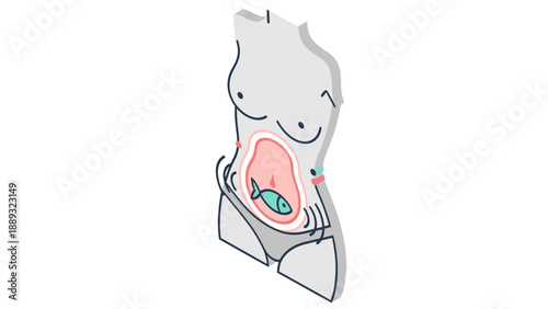 Isometric abstract body with fish depicting gut health concept