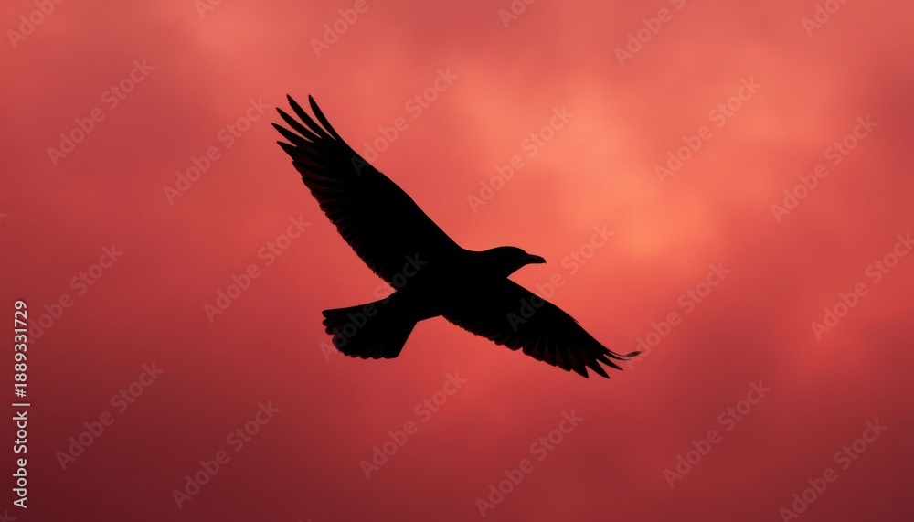 Obraz premium Flying bird silhouette sky