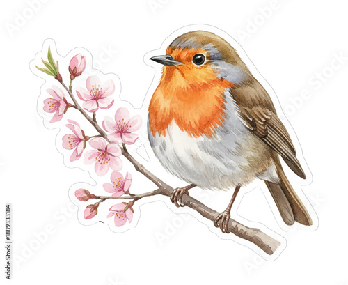 A charming watercolor painting of a European robin bird perched on a branch with pink cherry blossoms in bloom