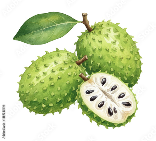 Fresh green soursop fruits with one cut half showing white pulp and black seeds a single leaf