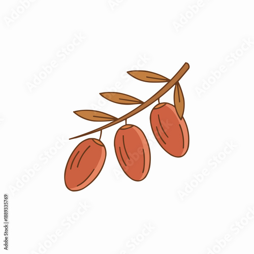 Minimalist Hand-Drawn Brown Date Fruit Branch Illustration