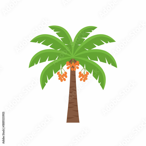 Stylized Cartoon Date Palm Tree with Orange Fruits Vector Illustration