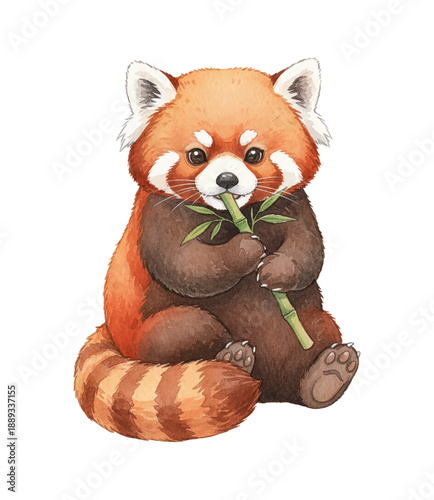 Adorable Red Panda Sitting and Happily Eating Bamboo Shoot with a Content Expression Watercolor Illustration