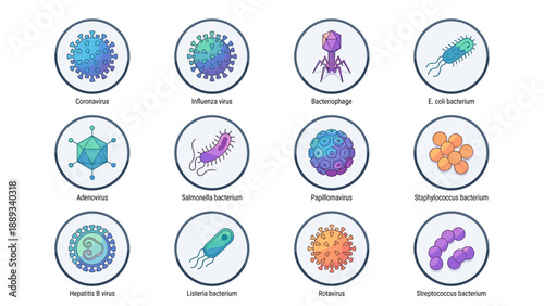 Vector Icons Set of 12 Viruses and Bacteria in Modern Isometric Style. Includes Coronavirus, Influenza, Bacteriophage, E. coli, Adenovirus, Salmonella, Papillomavirus, Staphylococcus, Hepatitis B,