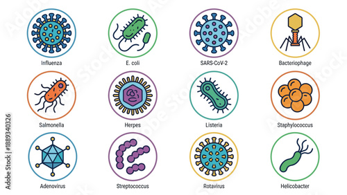 Set of 12 Vector Icons Representing Various Viruses and Bacteria Including Influenza, SARS-CoV-2, E. coli, Salmonella, Herpes, Listeria, and Streptococcus in a Clean Flat Design for Medical Science.