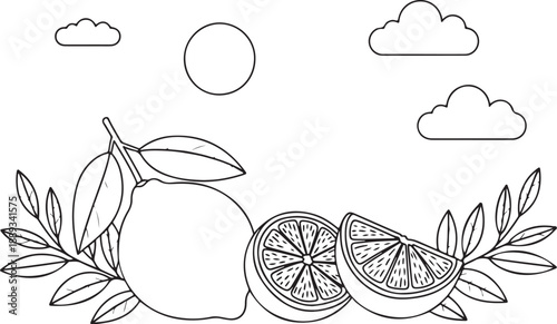 Citrus Fruit Branch Line Art with Orange Lemon Slices Leaves and Sunny Sky Doodles