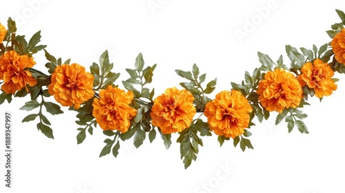 Vibrant orange marigold flower garland with fresh green leaves, beautifully arranged in a decorative arc for festive celebrations and traditional events, isolated on white