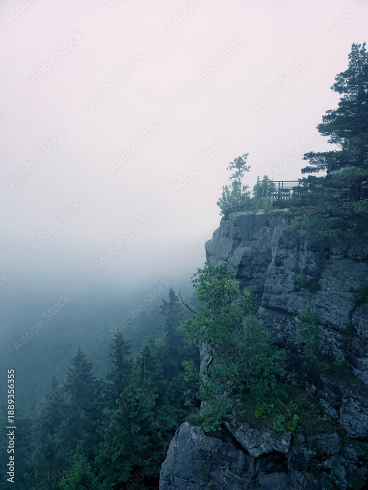 Fototapeta premium Foggy scene, Mountain covered with a coniferous fir tree forest. Scenic landscape from. Rocks, forest, fog, valley. National park. Foggy summer morning in the rocks.