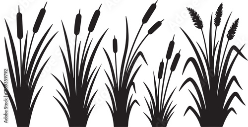 Black Silhouette of Cattails and Reeds on White Background