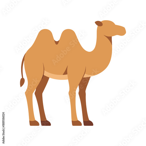 Two hump camel standing side view flat vector