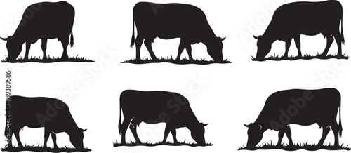 Set of black cow silhouettes grazing on white background