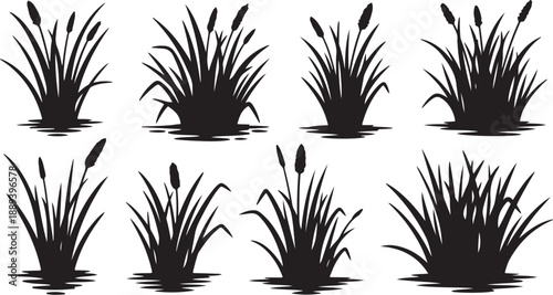 Set of cattail silhouettes on white background for design elements