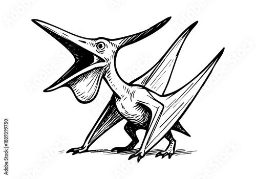 Pterodactyl hand drawn simple sketch vector illustration