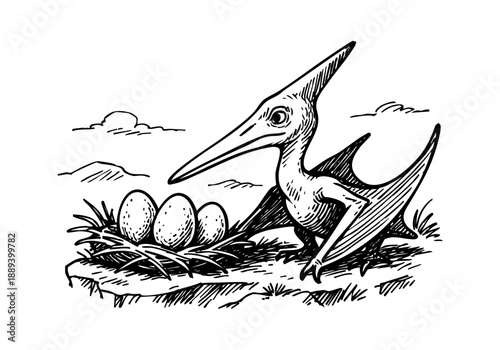 Pterodactyl hand drawn simple sketch vector illustration