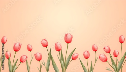 코랄핑크튤립반복패턴배경