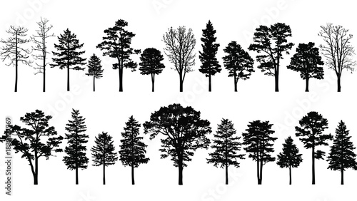 Silhouettes of diverse coniferous and deciduous trees arranged in two horizontal rows