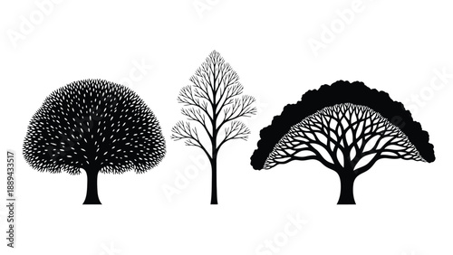 Three stylized black trees with varying canopy shapes are displayed on a white background