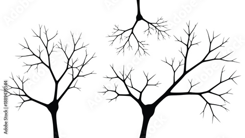 Minimalist depiction of bare tree branches against a clean bright white background