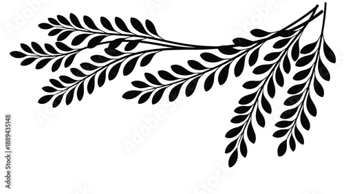 Elegant black silhouette of a fern branch with delicate leaves creating a botanical design