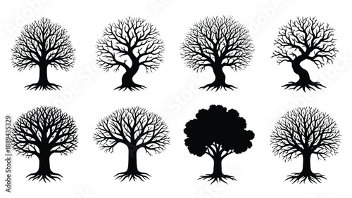 Silhouettes of various deciduous trees some bare some with foliage in black